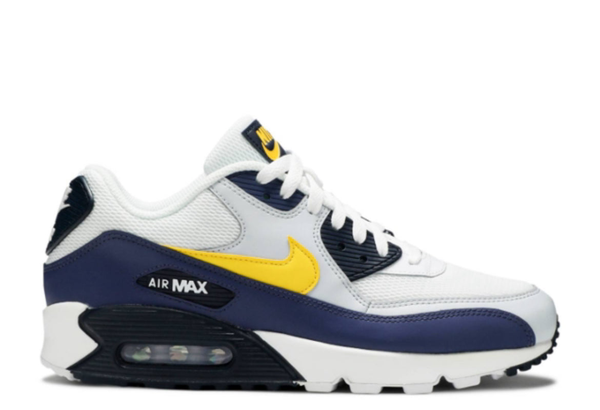 Air Max 90 Michigan
